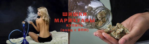 шишки Баксан